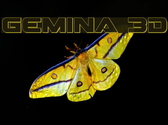 Gemina 3D Font examples