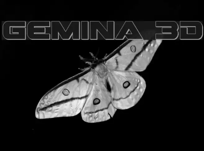 Gemina 3D examples