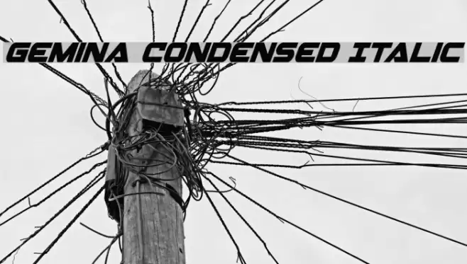 Gemina Condensed Italic Font examples