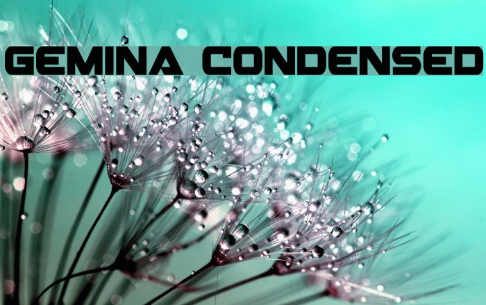 Gemina Condensed Schriftart examples