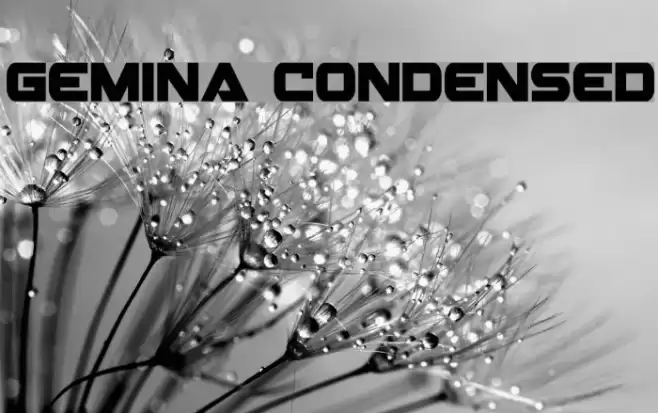 Gemina Condensed Font examples