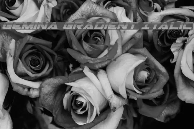 Gemina Gradient Italic Font examples