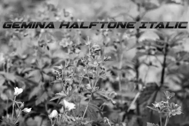 Gemina Halftone Italic Font examples