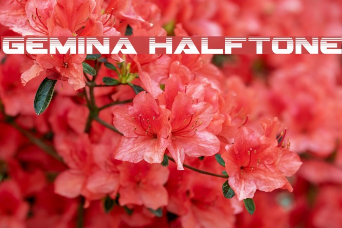 Gemina Halftone Font examples