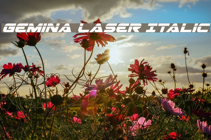 Gemina Laser Italic Example 1