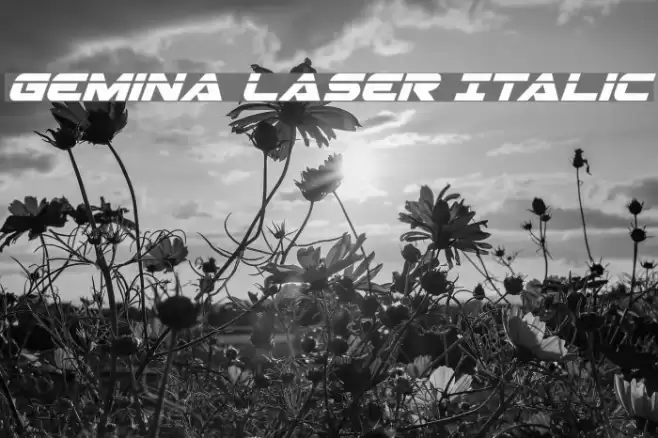 Gemina Laser Italic Font examples