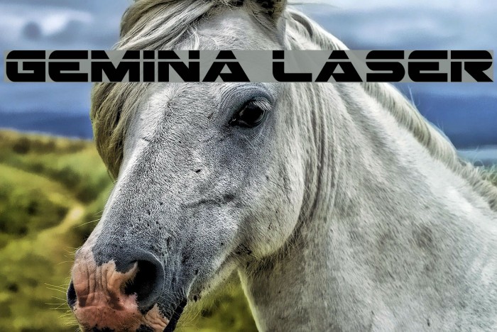 Gemina Laser Example 1