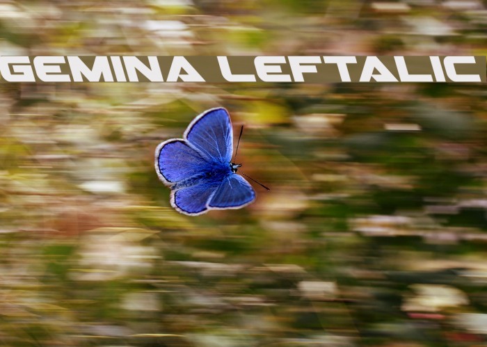 Gemina Leftalic Example 2