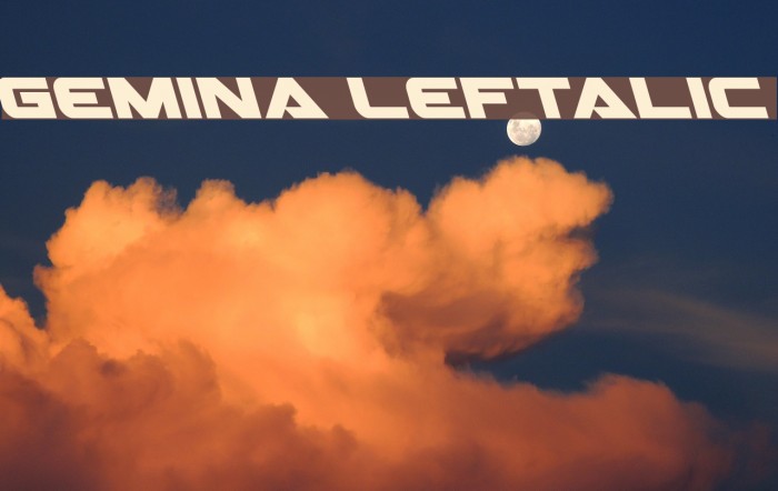 Gemina Leftalic Example 3