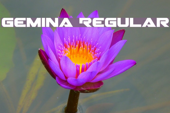 Gemina Regular Example 2