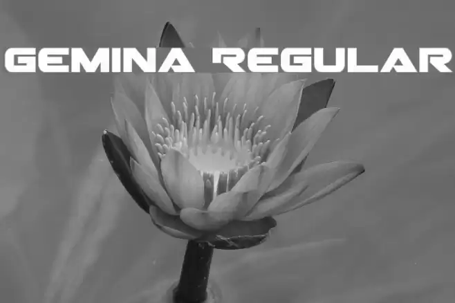 Gemina Regular Font examples