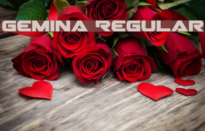 Gemina Regular Example 3