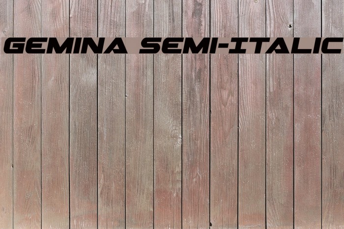 Gemina Semi-Italic Example 3