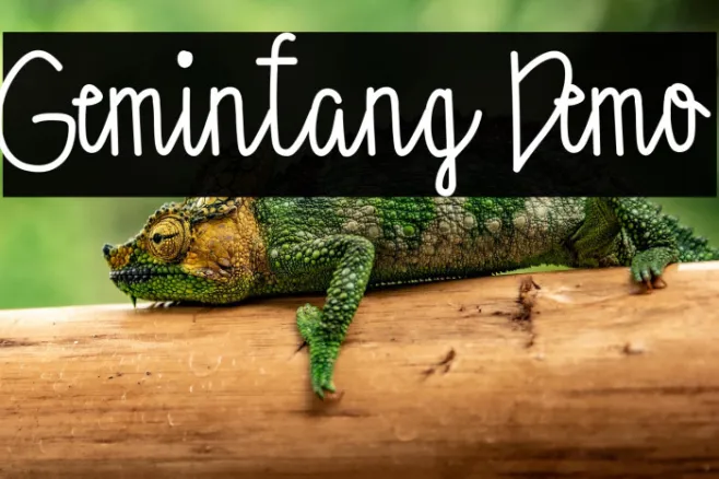 Gemintang Demo Example 1