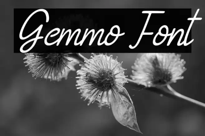 Gemmo Font examples