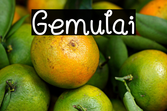 Gemulai Example 1