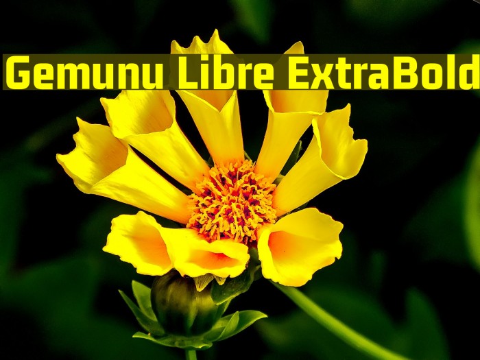 Gemunu Libre ExtraBold Font examples