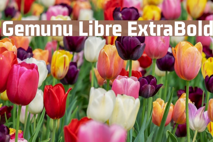 Gemunu Libre ExtraBold Font - FFonts.net