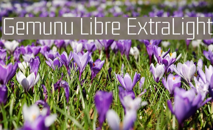 Gemunu Libre ExtraLight Font examples