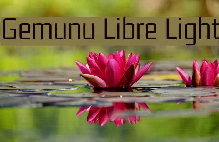 Gemunu Libre Light Font examples