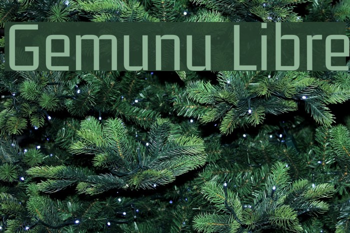 Gemunu Libre Fuentes examples