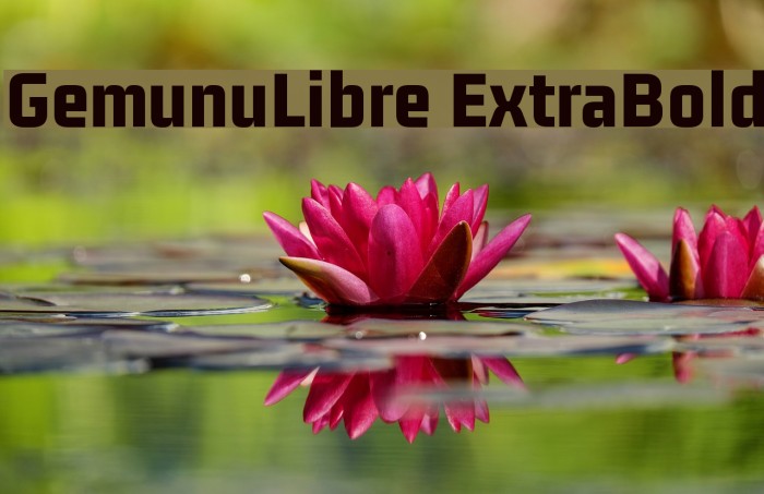 GemunuLibre ExtraBold Font examples