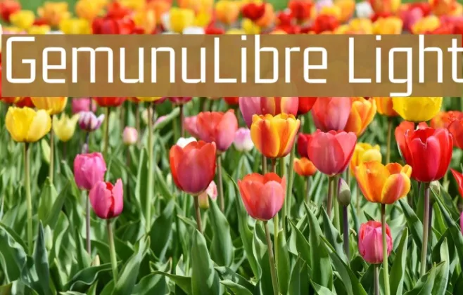 GemunuLibre Light Example 2