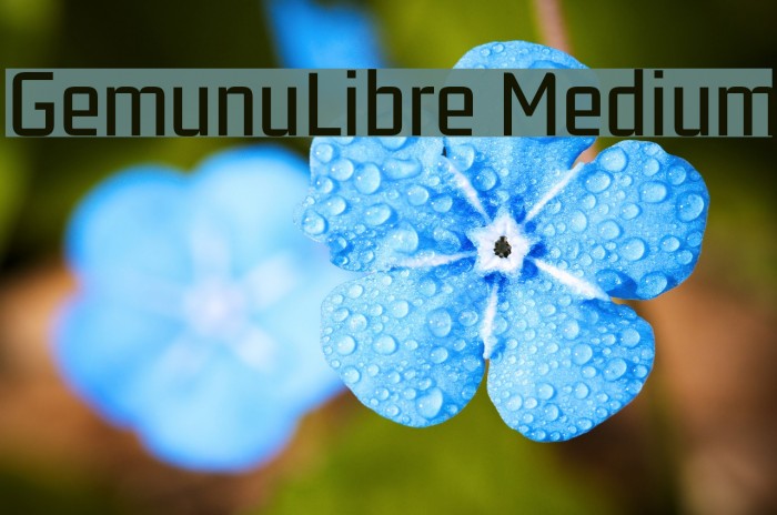 GemunuLibre Medium Fuentes examples