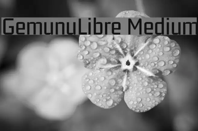 GemunuLibre Medium Font examples