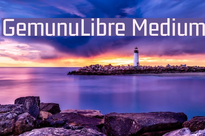 GemunuLibre Medium Fuentes examples
