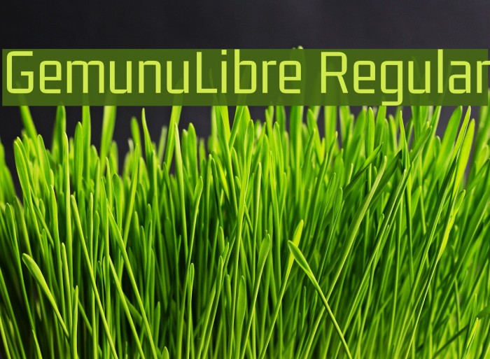 GemunuLibre Regular Fuentes examples