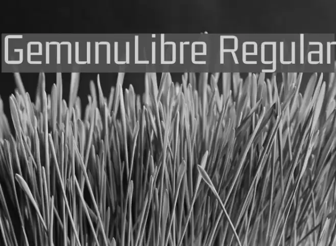 GemunuLibre Regular Font examples