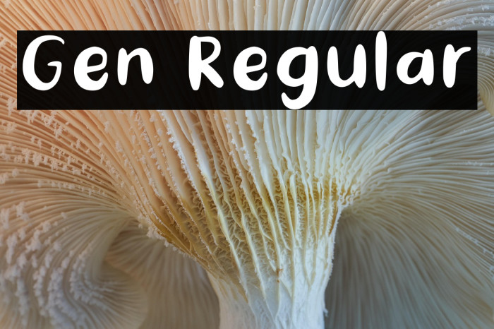 Gen Regular Example 1