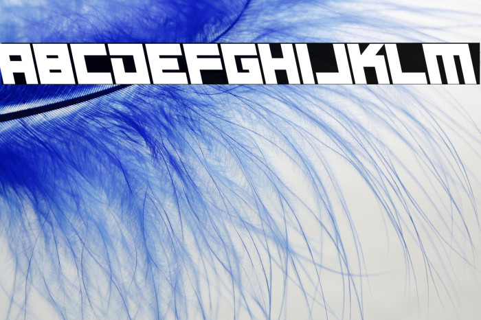 Gen Z Italic Example 2