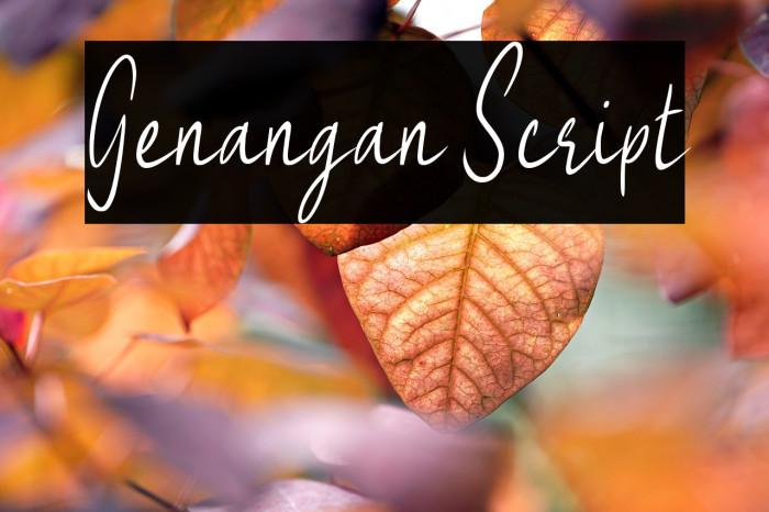 Genangan Script Example 1