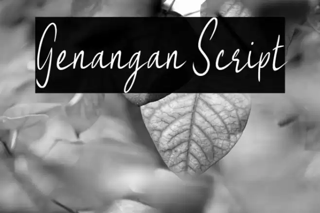 Genangan Script Font examples