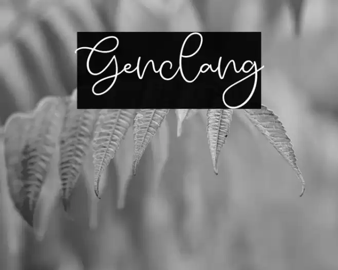 Genclang Schriftart examples