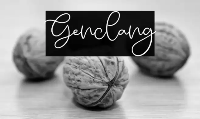 Genclang Schriftart examples