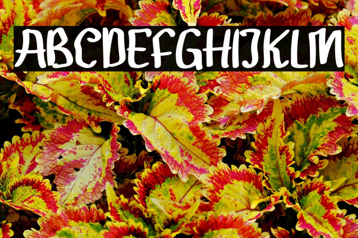 Gendar Rebus Example 1