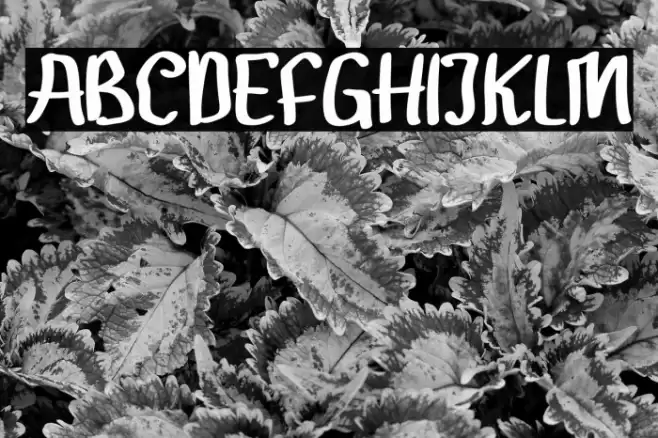 Gendar Rebus خط examples