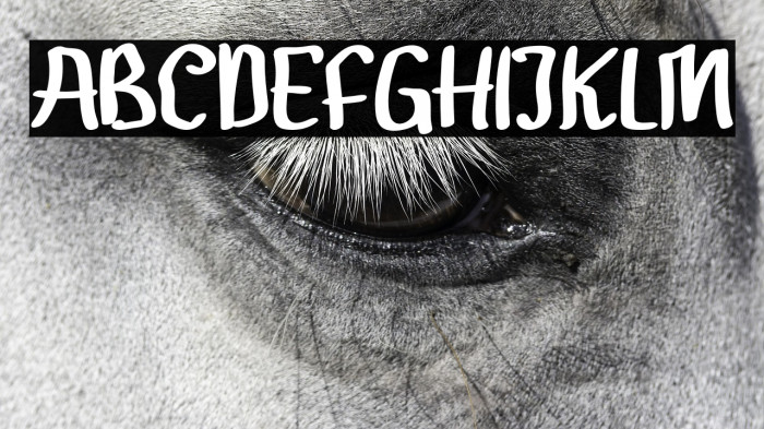 Gendar Rebus Example 3