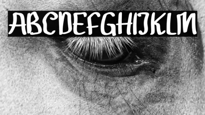 Gendar Rebus خط examples