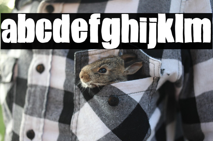 Gender Wars Example 3