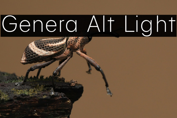 Genera Alt Light Example 2