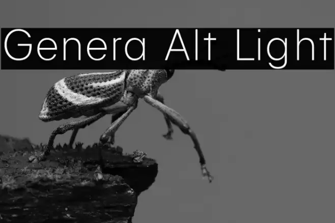 Genera Alt Light Font examples
