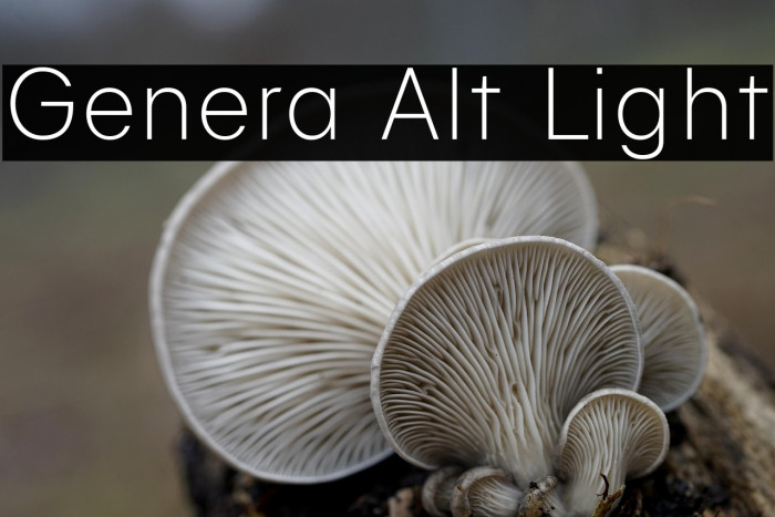 Genera Alt Light Example 3