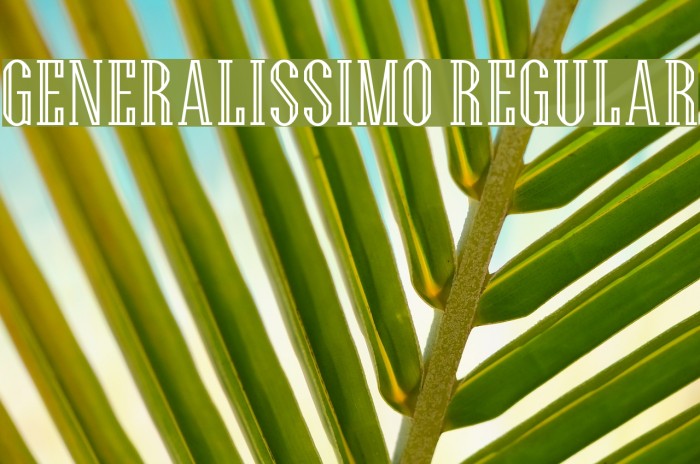 Generalissimo Regular Font examples