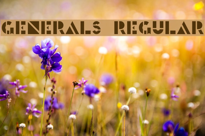 Generals Regular Font examples