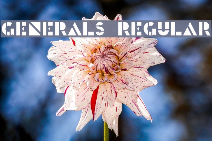 Generals Regular Font examples