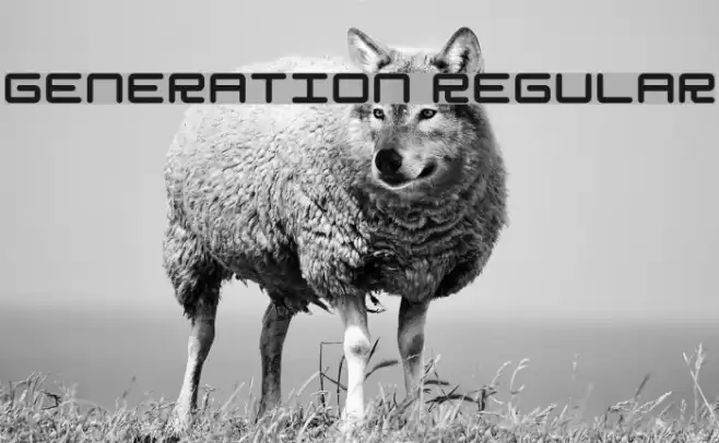Generation Regular フォント examples